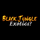Black Jungle Exotics