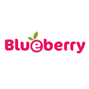 blueberrydiapers