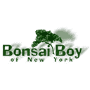 bonsaiboy