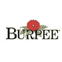 Burpee