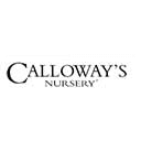 calloways nursery