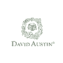 David Austin