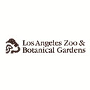 lazoo